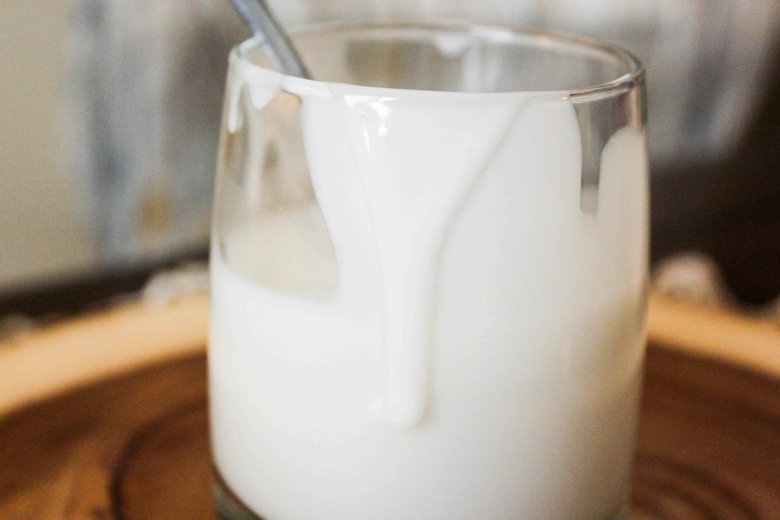 2 Ingredient Dairy Free Sweetened Condensed Milk {THM