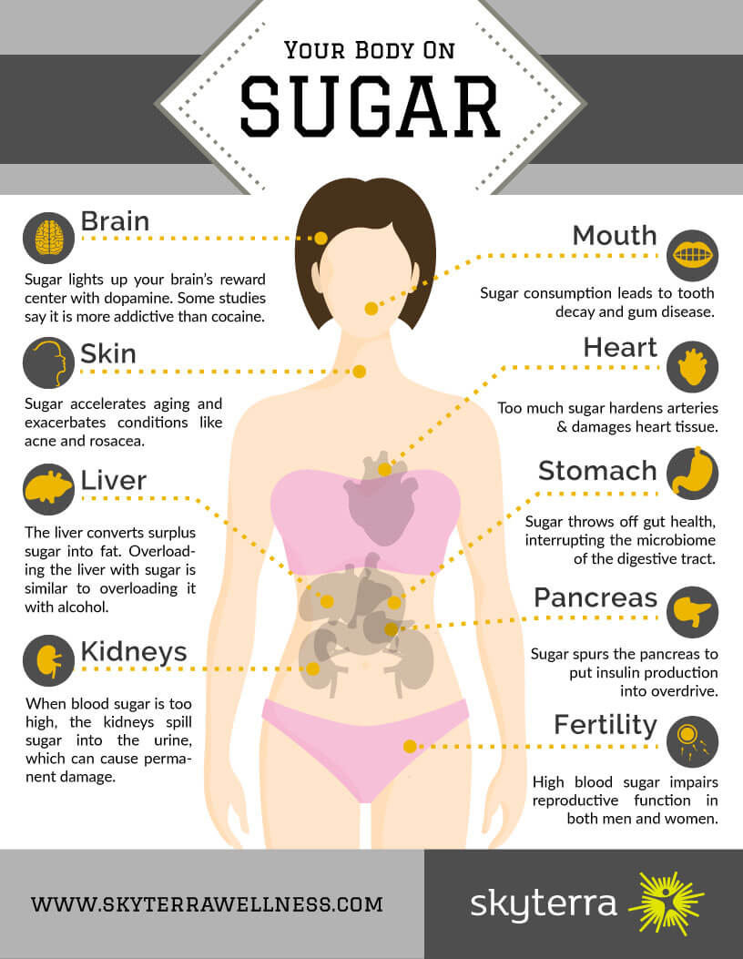 A Comprehensive Look at Your Body on Sugar