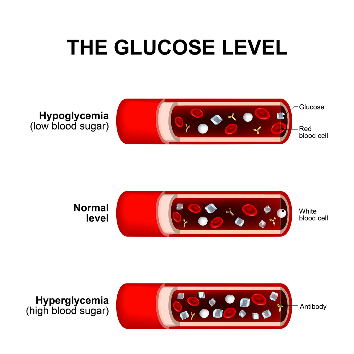 Blood sugar levels: How glucose levels affect your body?