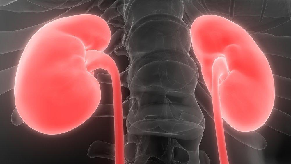 Can Kidney Disease Cause High Blood Sugar?
