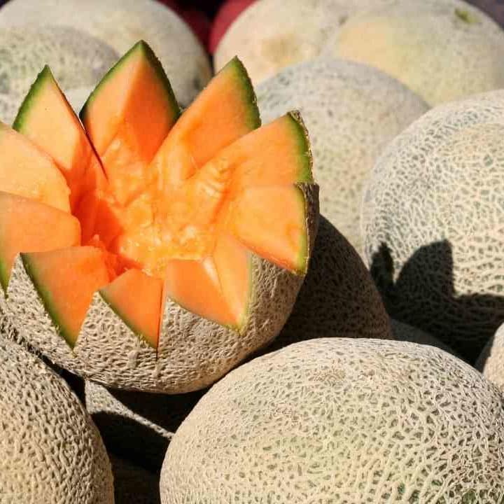 Can You Eat Cantaloupe On A Keto Diet  Power Up Cook