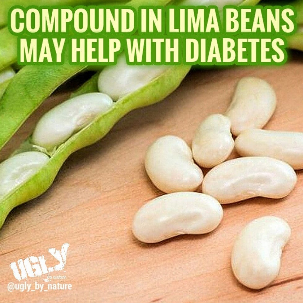 Compound in lima beans may help with diabetes