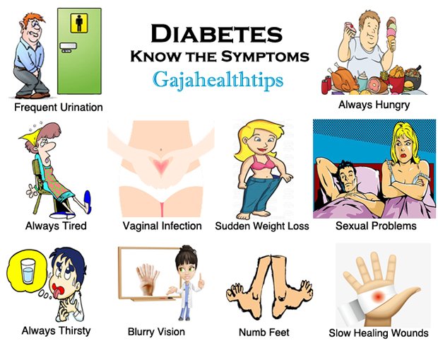 Diabetes: Causes, Symptoms, Treatment, Diagnosis
