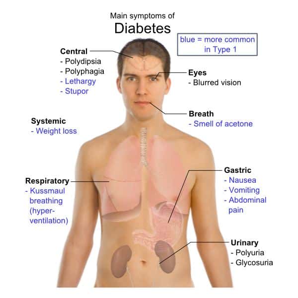 Diabetic Sugar Levels: What They Mean and When You Should Be Concerned