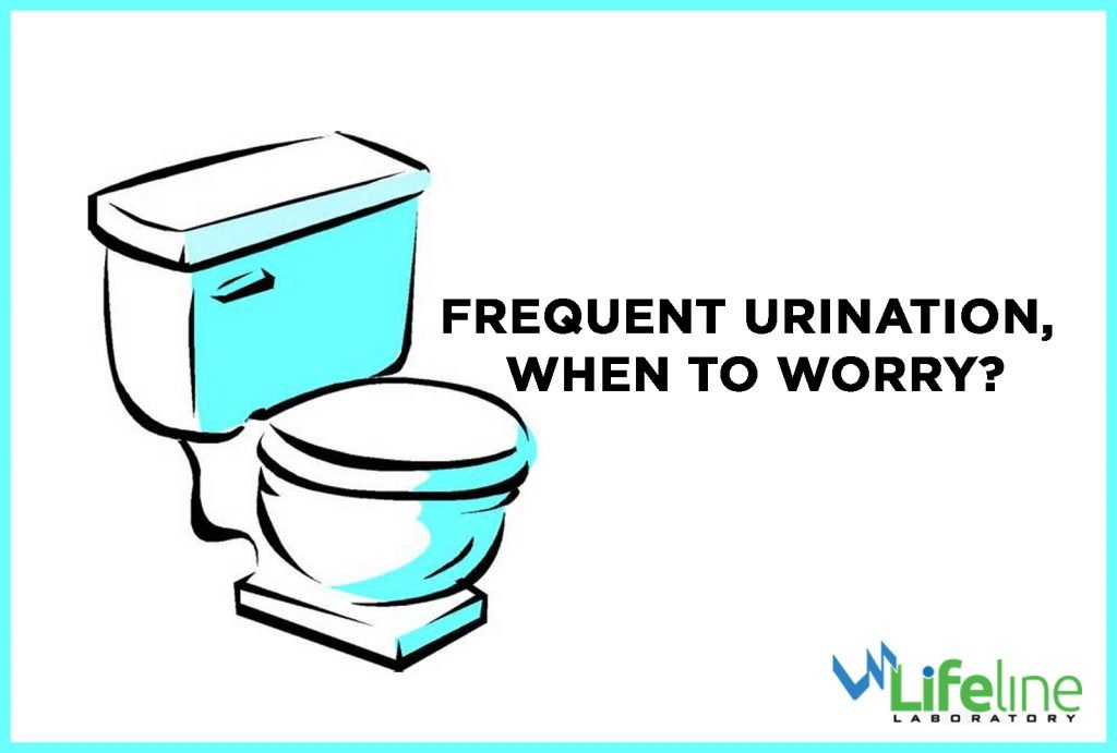 Frequent urination, when to worry?