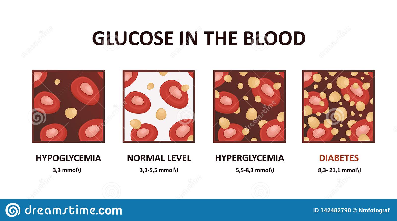 Glucose Levels In The Blood Diagram Stock Vector ...