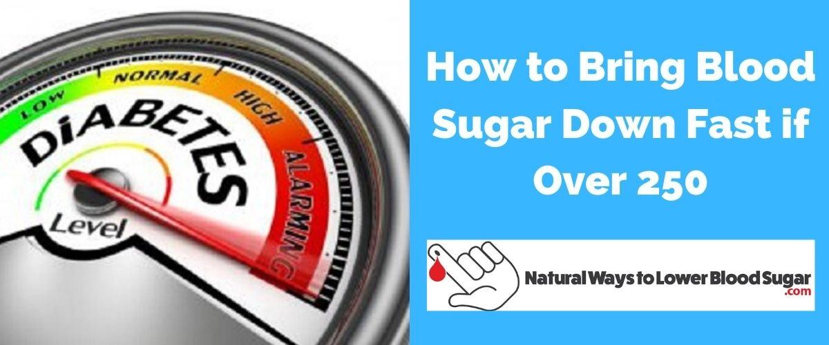 Lowering Blood Sugar. The sale brought_____ over $250..