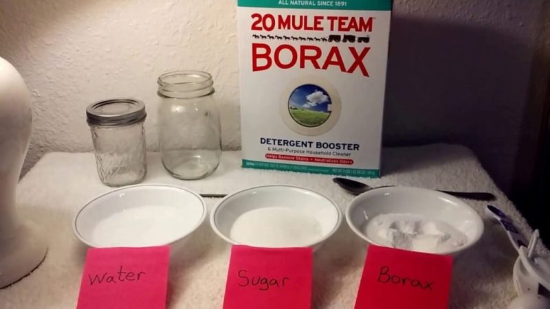 How to Get Rid of Ants with Borax / Boric Acid