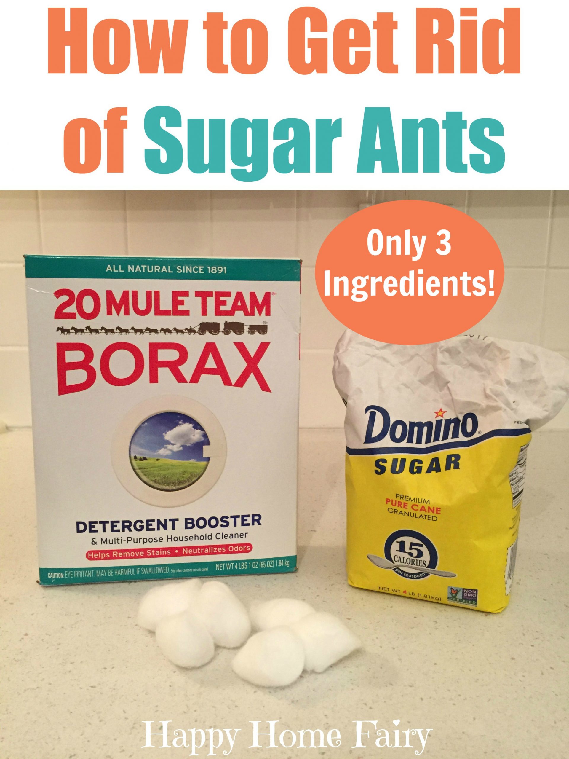 How to Get Rid of Sugar Ants With Just 3 Ingredients!