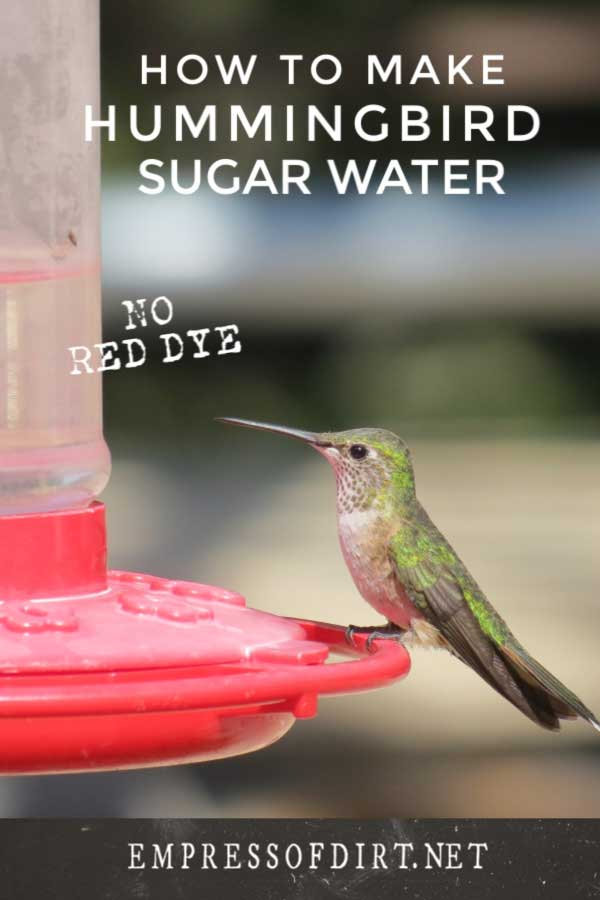 How to Make Hummingbird Food (Sugar Water Recipe)