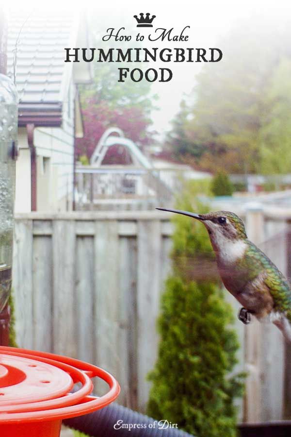 How to Make Hummingbird Food (Sugar Water Recipe)
