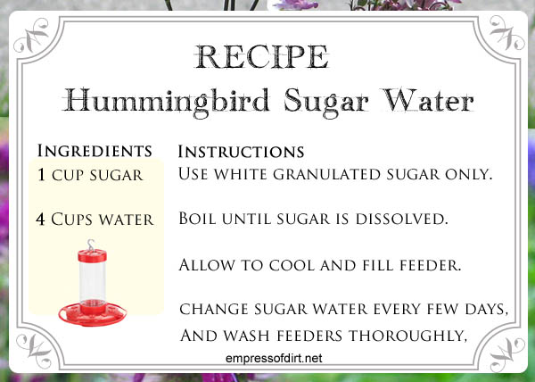 How to Make Hummingbird Sugar Water &  Choose a Feeder ...