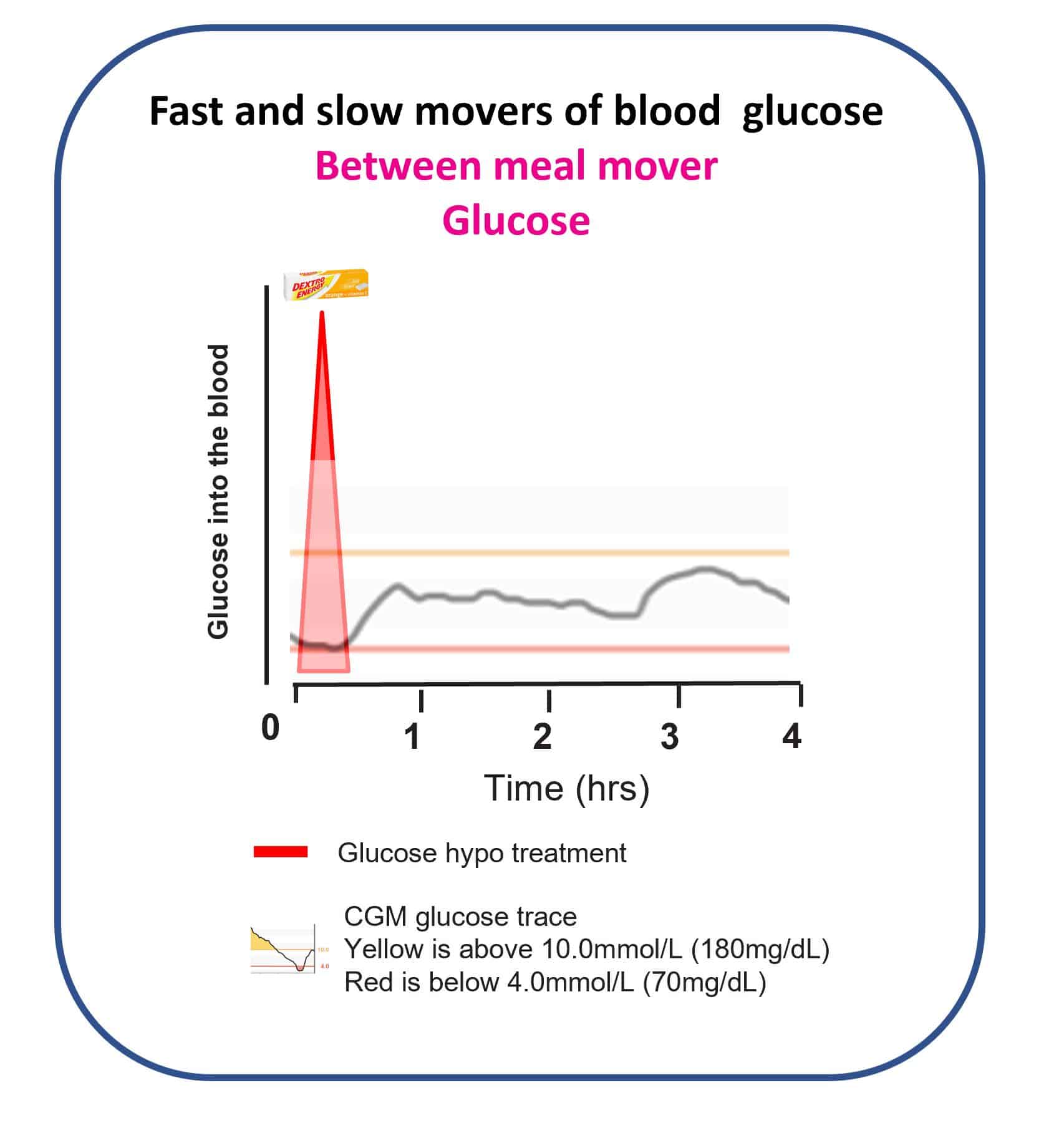Hypoglycaemia â The Glucose Never Lies