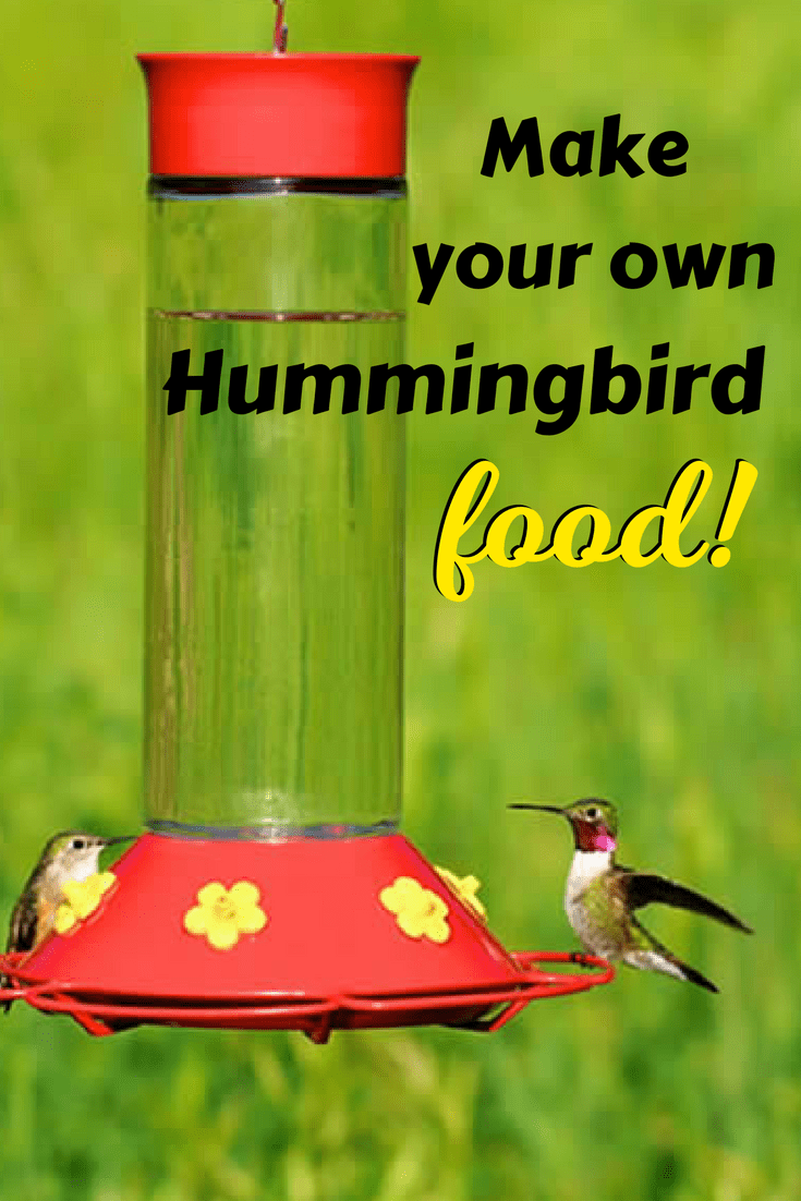Make your own hummingbird food to attract these amazing ...