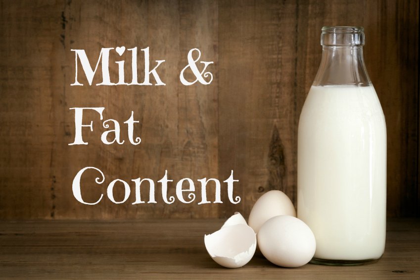 Milk and the Differences in Fat Content