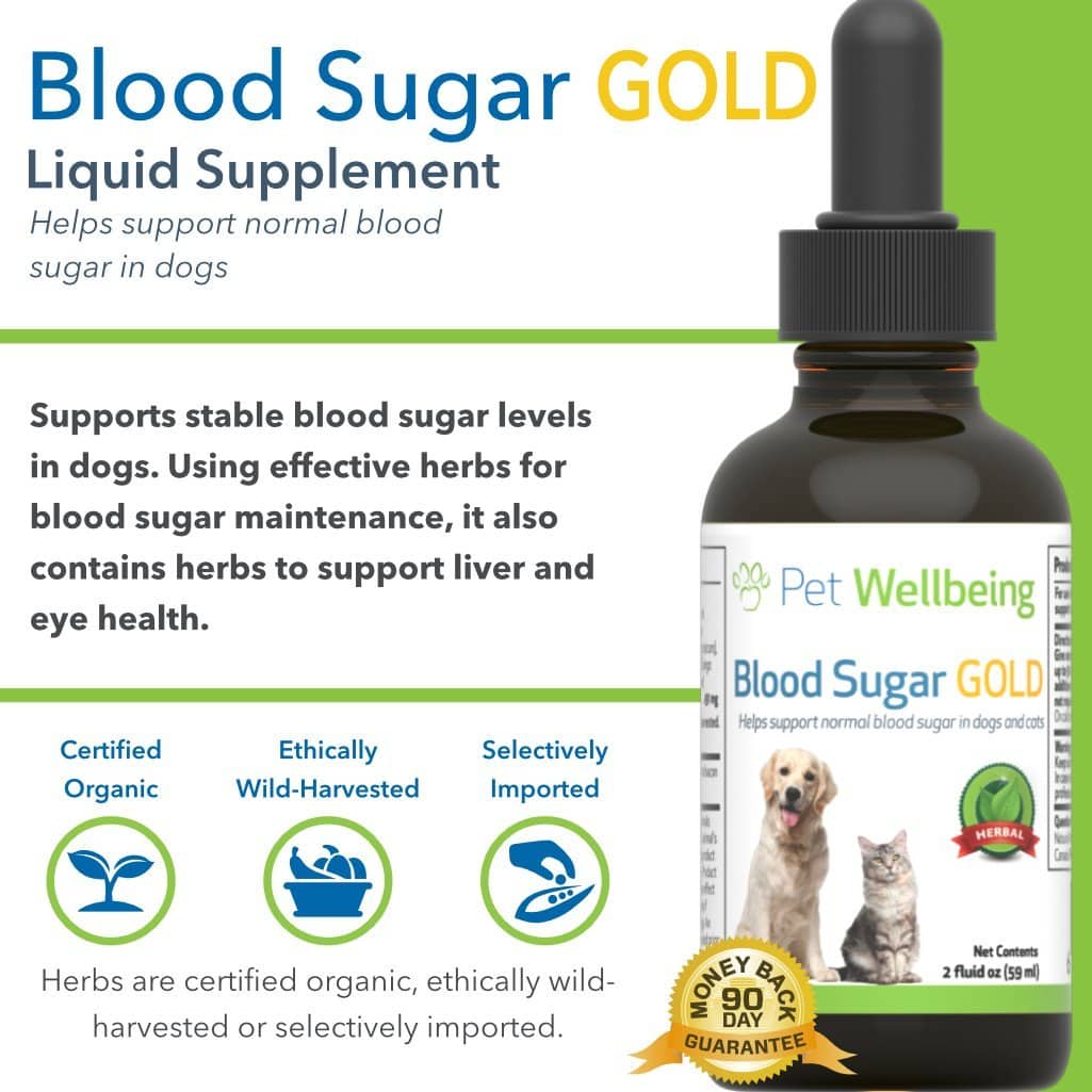 Pet Wellbeing Blood Sugar Gold for Dogs