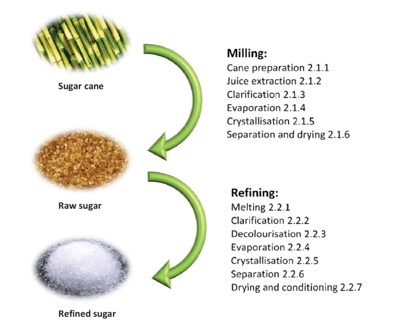 Raw sugar is made from sugar cane in a series of steps ...