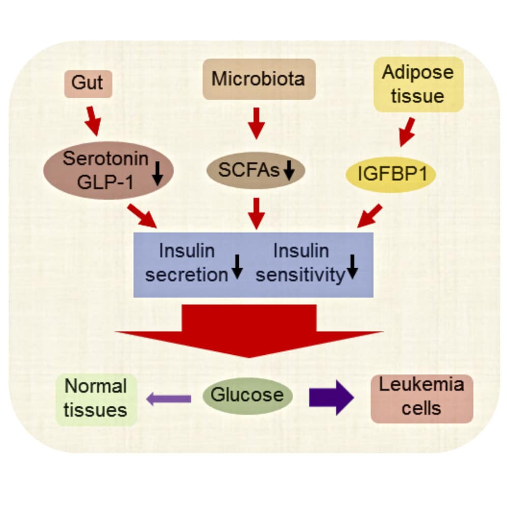 Subversion of Systemic Glucose Metabolism as a Mechanism to Support the ...