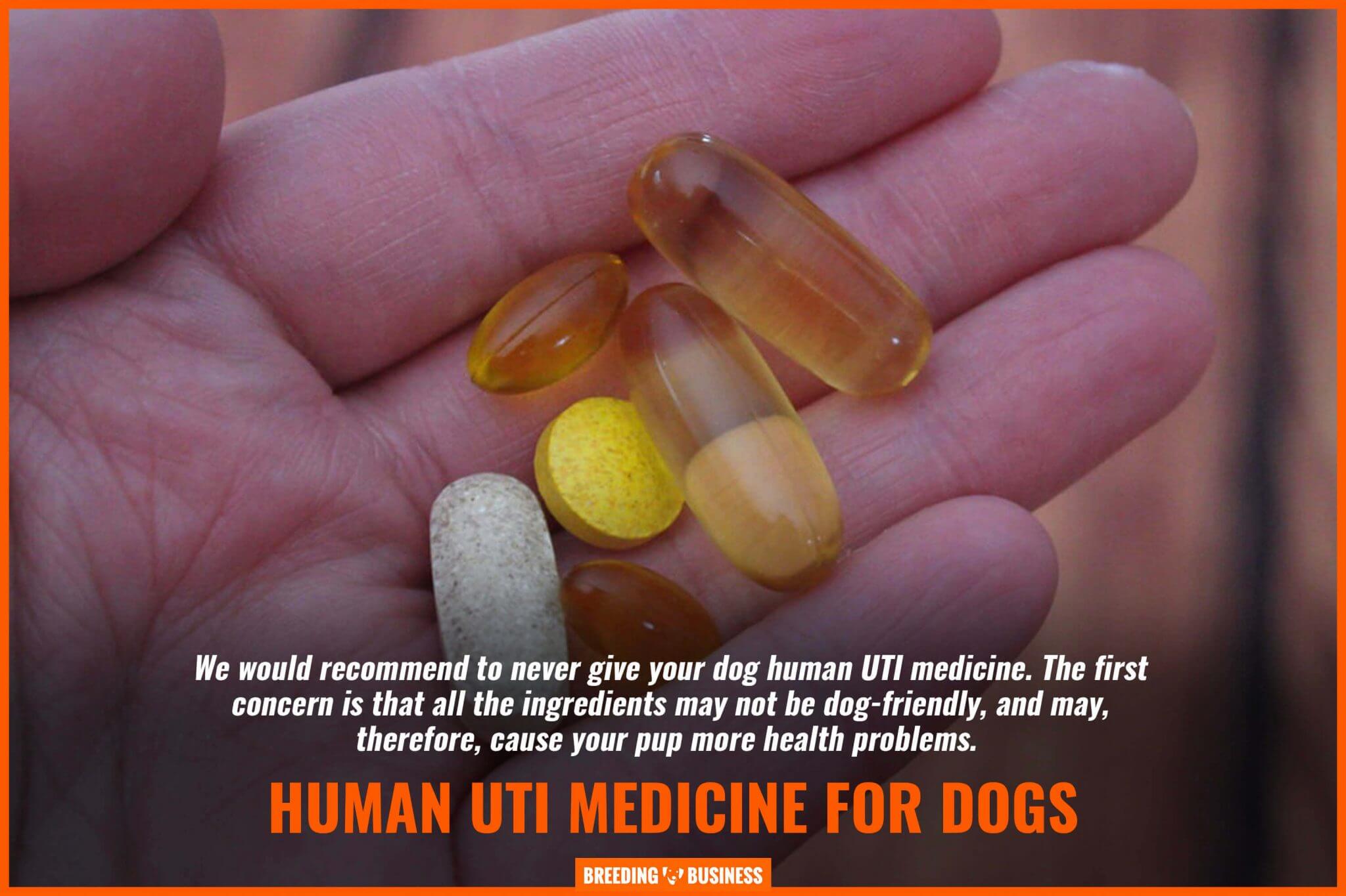 UTI Supplements for Dogs  Cranberry, Tablets, Dosage ...