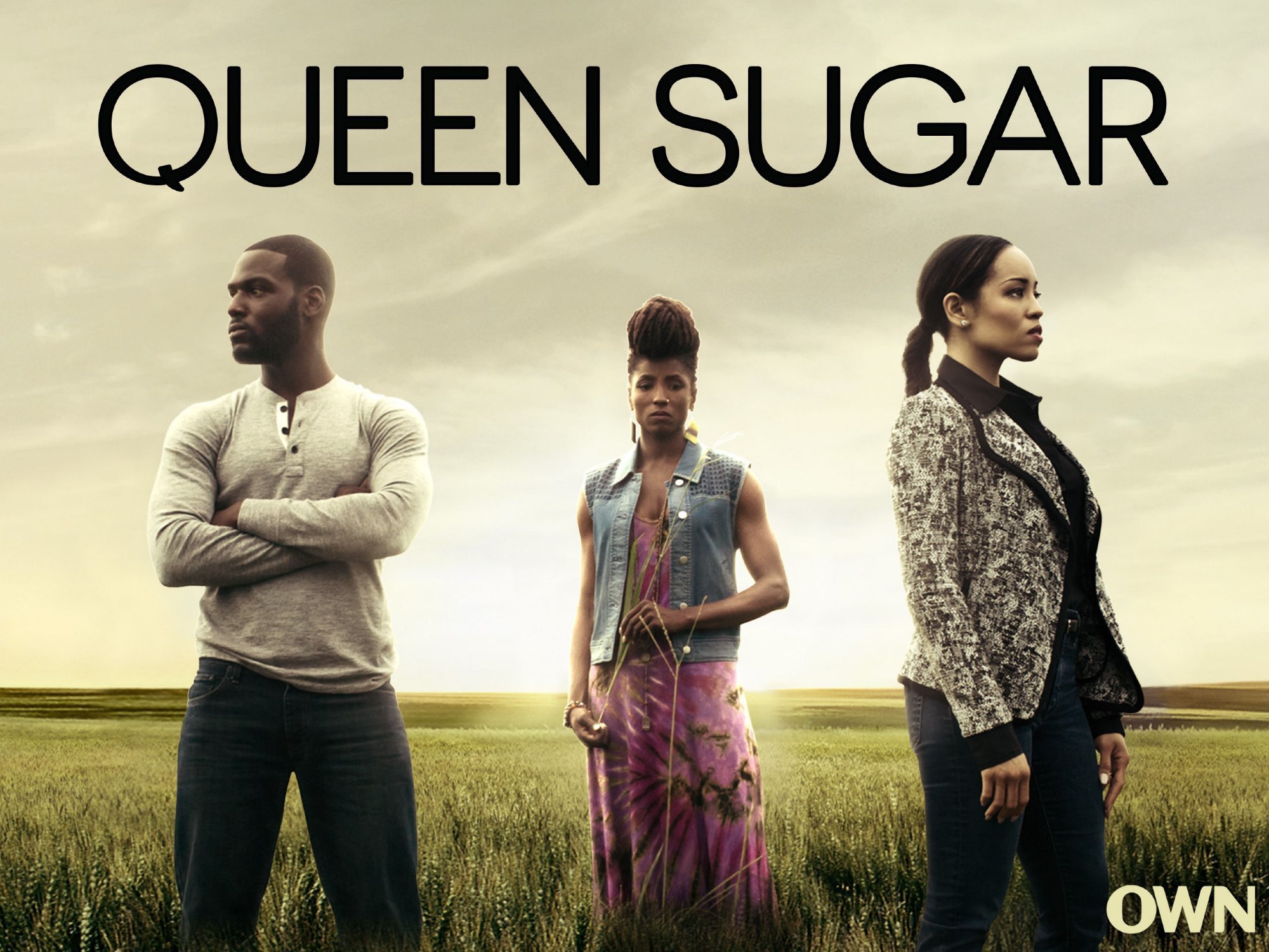 Watch Queen Sugar: Season 1