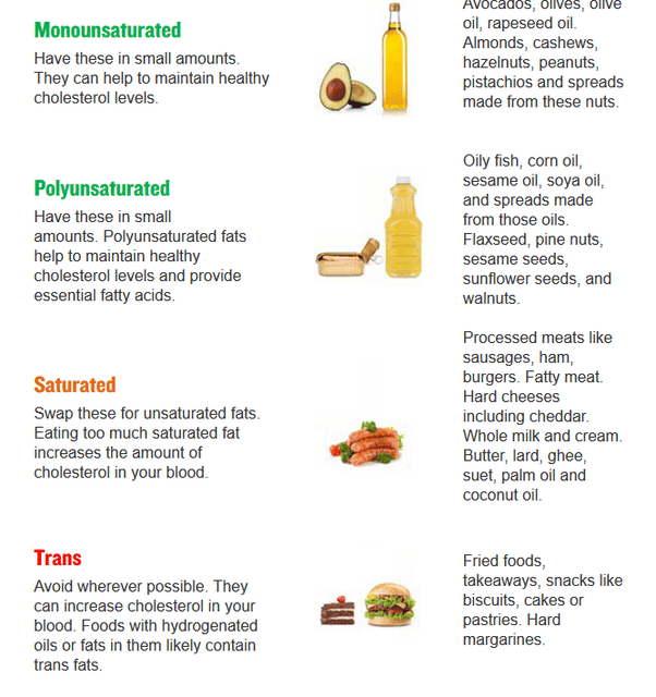 What are types of fats?