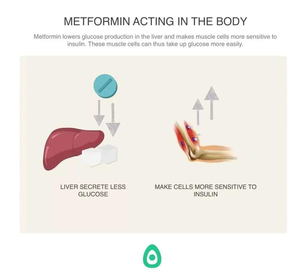 What is Metformin? (for weight loss, diabetes and ...