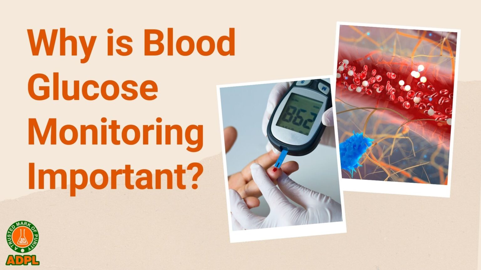 Why is Blood Glucose Monitoring Important?